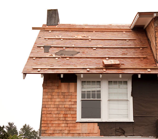 Best Storm Damage Siding Repair  in New Smyrna Beach, FL